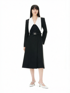 Minimalist Elegant Slim-fit Dress