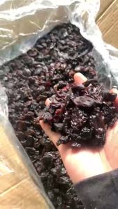 Kismis Hitam Cokelat 1KG (RAISINS)