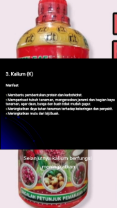 Been Sae KCL Cair Super Kalium 1000ml