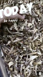 1KG Nấm Lộc Nhung (Nấm Nhung Huơu) Loại 1 -Nấm Quý Nguyên Cây Sợi Dài Trắng - Hầm Sâm Nấu canh Súp Xào Ăn Mì
