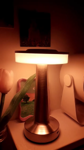 COD TaffLED Lampu Belajar Yang Bisa Di Cas Super Terang Sentuh LED USB Isi Ulang Tri Warna 1W - BRF5