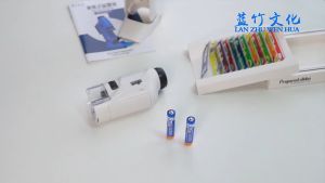 60X-120X Handheld Microscope Kit Magnification Home School Biological Science Educational Toys Children Gift P