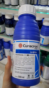 CURACRON 500 EC INSEKTISIDA PENGENDALI HAMA // KURAKRON INSEKTISIDA