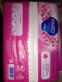 PASEO Elegant Beauty Facial Tissue 1pcs 108ply, non parfum. for all skin LUXURIOUS SOFT. 