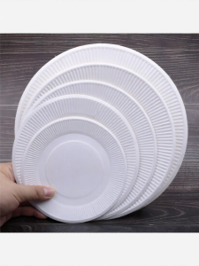 Thick White Blank Plates for Drawing Art and DIY