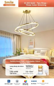 Smile | New Luxury Modern Minimalist Golden Ceiling Light