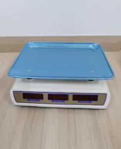 KT WARE 40KG PRICING SCALE COMPUTER WEIGHTING SCALE DIGITAL SCALE TIMBANG HARGA TIMBANG MARKET