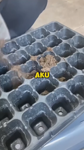 【20PCS】Pot Tray Semai Bibit Benih / Pot Bibit / Seedling Pot - 32 / 50 / 72 / 105 / 128 / 200 Seedling Tray Dulang Benih Berkualitas Tinggi