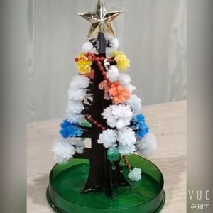 🎄🎄 DIY Christmas Tree Green Colorful Blooming Science Experiment Kit
