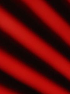 TOPTOY x Disney Mickey Mouse Family Dharma Series Toy ของเล่นฟิกเกอร์ ของขวัญวันเกิด สําหรับเด็ก