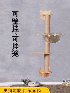 Wall-Mounted Space Capsule Cat Nest Small Cat Climbing Frame Wall Cat Cage Ladder Springboard Hanging Custom Cat House Accessories