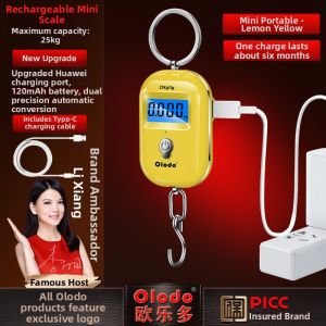 Olodo | High Precision Portable Hanging Scale