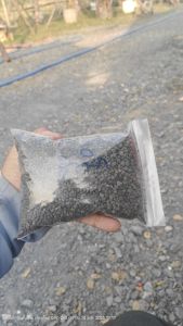 ไบโอฮิวมิก ขี้ค้างคาว 15%