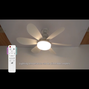 Dundun AC85-265V Silent Ceiling Fan Light E27 Detachable Fan Blade Fan Light 30W/40W Dimmable Ceiling Fan Light With Timing Function