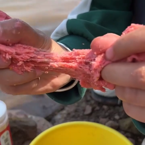 SLI 250gเหยื่อกลูเตน กรัม เหยื่อปลากลูเตน ธัญพืช + โปรตีน + กุ้ง เหยื่อปลา กลิ่นหอม เกลี่ยง่าย ตะขอเหนียวพิเศษ