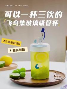 SHUEHO | Glass Straw Cup Lid
