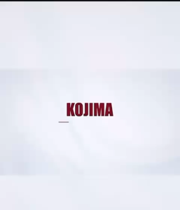 (LOCAL INSTOCK) Kojima pet cleaning gloves grooming