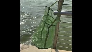 Portable Foldable Fish Net Cage 2/3 Layer Nylon Mesh Fish Shrimp Crab Trap Basket for River Lake Pond Fishing