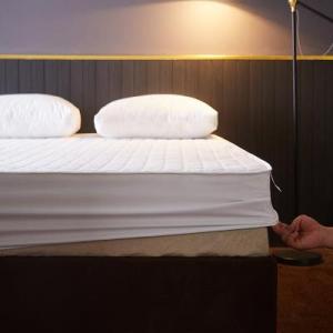 Anti-slip Thickened Bed Protector