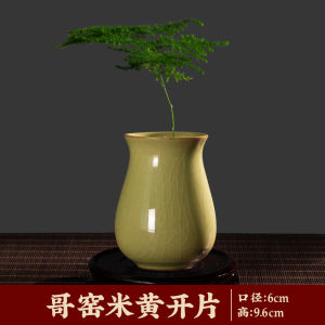 Modern Creative Ceramic Flower Vase Simple Elegant Modern Day Plant Water Cultivation Greenery Desktop Decorative Ornament