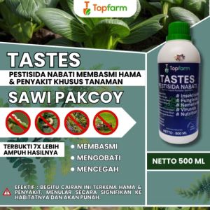 Obat Untuk Sawi Pokcoy: Perlindungan Maksimal Terhadap Hama & Penyakit
