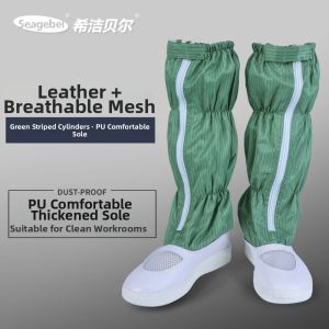 seagebel | Anti-static Clean Boot