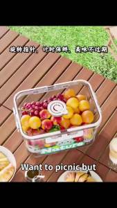 Portable Food Storage Box Refrigerator Vegetable Fruit Organizer Large Snack Organizer with Lid for Outdoor Picnic Camping