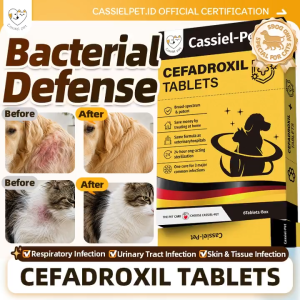 Buy 4 Free 2 Anti-Inflammatory Drugs For Skin Ulcers Increased Ear Secretions Sneezing For Dog & Cat