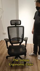 Simple Ergonomic Office Chair ★ Mesh Office Chair ★ Adjustable Lumbar Support ★ Adjustable Features ★ Easy Self Setup