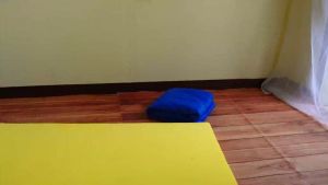 Sarung / Cover Non Anti Slip karpet bulu rasfur