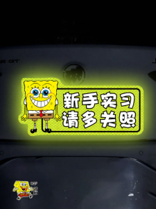 NBM | Magnetic Reflective Practice Driving Car Stickers