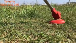 Máy cắt cỏ cầm tay mini dùng pin lithium cực khủng Tặng bộ 8 lưỡi