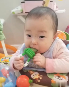 Núm Ăn Dặm Chống Hóc Cho Bé – Set 2 Cái – Silicon Mềm An Toàn Ăn Trái Cây Rau Củ Thịt Cá Nhiều Màu