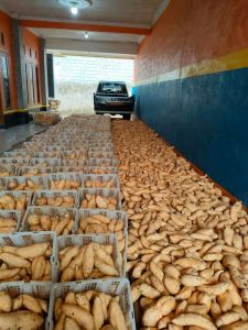 Paket 5kg Arben Kecil Ubi Madu Asli Cilembu Organik mentah si kecil banyak -SPC