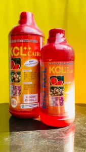 Pupuk Cair Organik super Bio KCL KCL Cair Bina Agro Mandiri kemasan bervariasi 500ml 1000ml