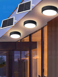 DUOSHANG | Waterproof Three-Color Change Anti-Mosquito Solar Ceiling Light