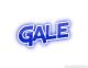 GALE OUTFIT