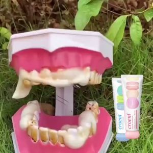 Whitening toothpaste Gigi putih pasta gigi pemutih bleaching plak anak-anak Blueberry gigi kuning permanen menghilangkan plak kerak keropos hitamnoda gigi perokok bau mulut anak-anak