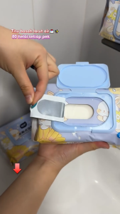 3 PACK BOTARE Rabbit Wet Toilet Paper Floral Scent Super Soft Large 133x180mm 80 Sheets Fresh Clean