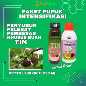 Pupuk Buah Tin: Solusi Optimal untuk Pertumbuhan & Panen