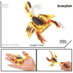 Educational Simulation Insect Model