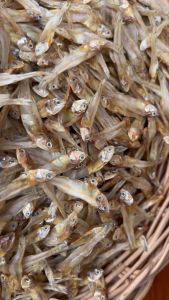 ปลามะลิแห้ง สดใหม่ สะอาด ได้เยอะ มีแคลเซียมสูง ไม่เค็ม ขนาด 200กรัม0.5กก.และ1กก. ปลากระป๋องมะลิ ปลากระป๋อง มะลิ ปลากระป๋องมะลิ ราคา - Lazada