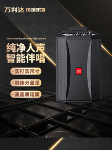 Malata Audio M9026 Square Dance Outdoor Speaker Karaoke Mobile Pull Bar with Wireless Microphone High Power For Home