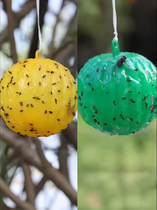 PISSA | Insect Trapping Paper