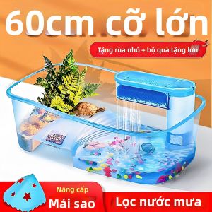 KUMAILANG | Basking Platform Turtle Terrarium 1