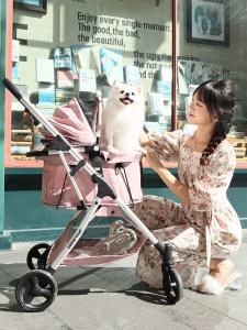 BebeRoad R5 Pet Stroller Lightweight Foldable Separate Cat Dog Small Dog Outing Bag Stroller Universal Brand Goods