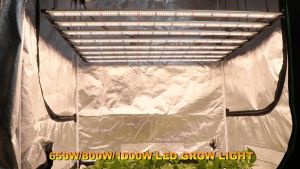 650W 800W 1000W Samsung LM-282B LED ฟังเติมโตแถบแสง เป็นไฟปลูก UV IR โปรแกรม Dimmable ไฟปลูกต้นไม้