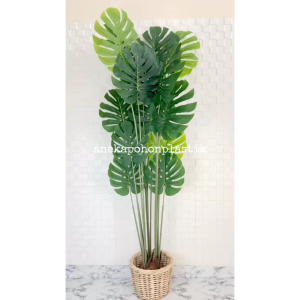 Pohon Hias Pohon Artificial Daun Monstera Latex T180 Cover Keranjang Rotan Medium Hiasan Cafe Minimalis