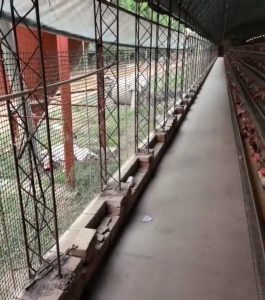 Agricultural Net Bag Plastic Netting Balcony Guard Net Protective Fence Safety Net Household Plastic Fence Livestock Protection Net Set Chicken Fence