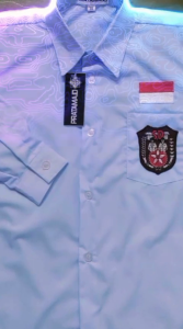 Seragam sekolah dasar putih tangan panjang